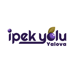 yalova_web1-1725629645.png